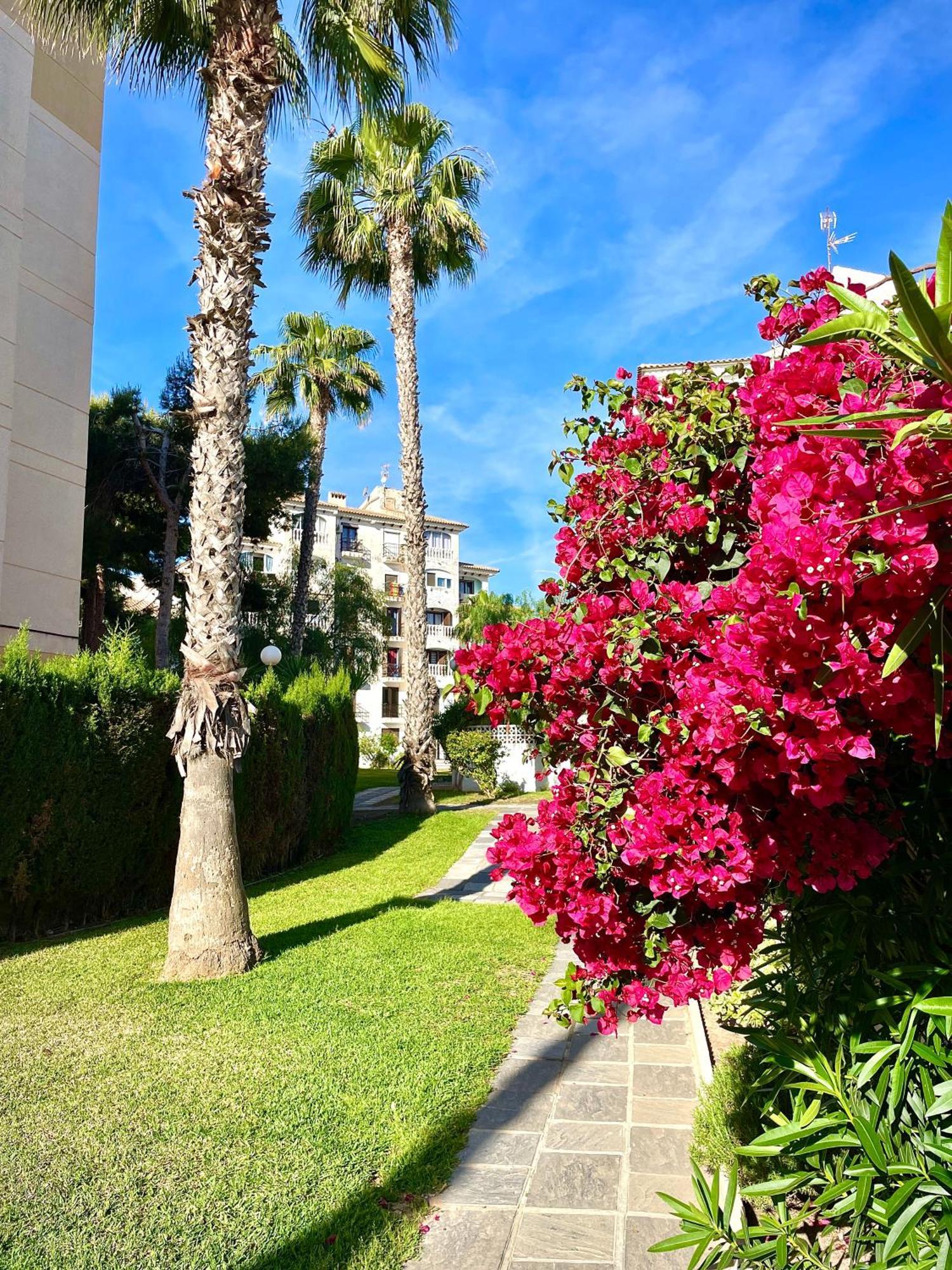 Calas Blancas Torrevieja Exterior foto